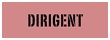 dirigent.jpg