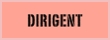 dirigent.jpg