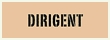 dirigent.jpg
